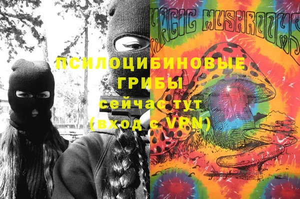 круглые Алзамай