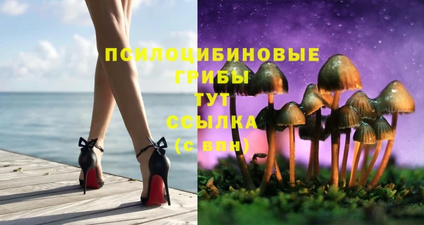стафф Пестово