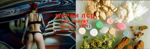бошки Пересвет