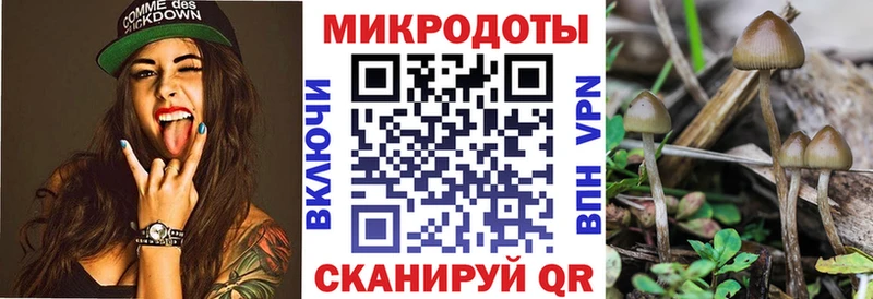 omg вход  Духовщина  Псилоцибиновые грибы Psilocybe 